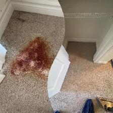 carpet, sofa, tiles and mattresses cleaning - Photo 9