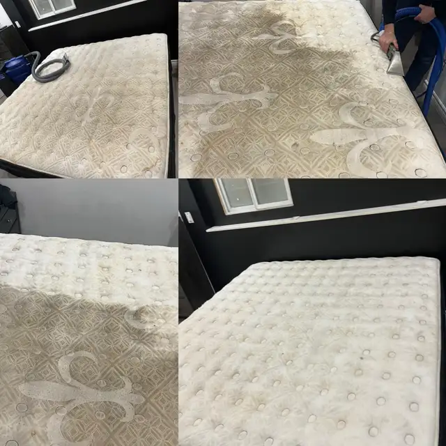 carpet, sofa, tiles and mattresses cleaning - Photo 10