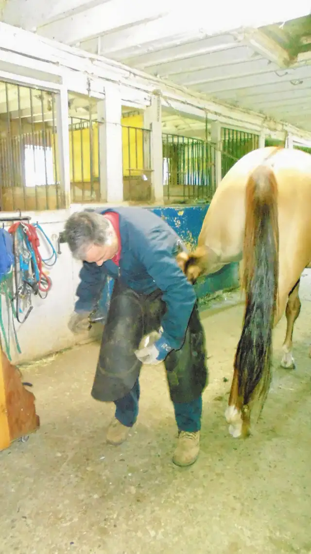 maréchal ferrant - Photo 2