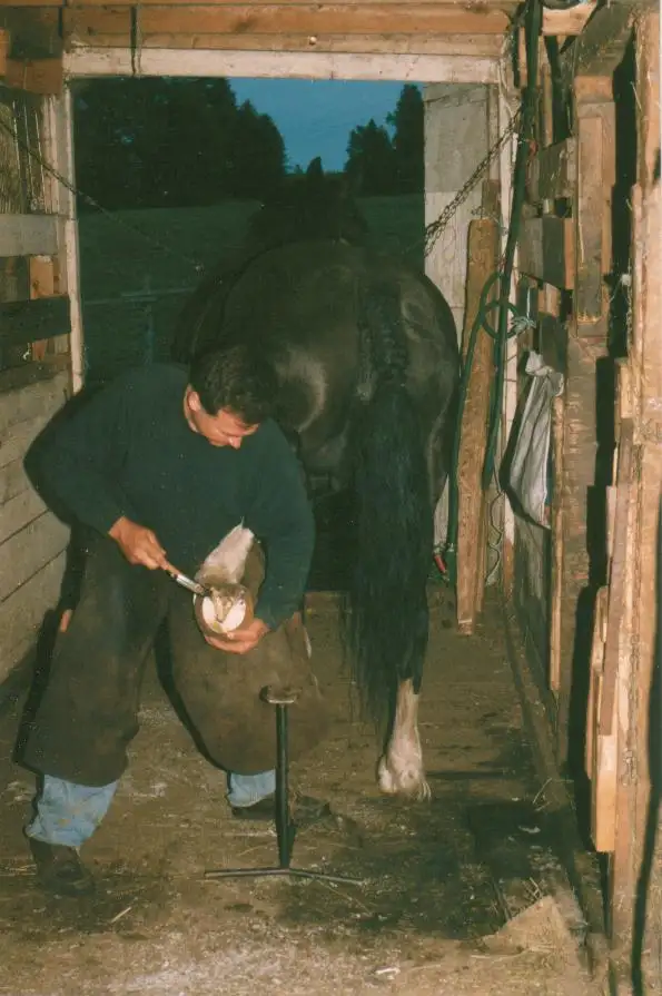 maréchal ferrant - Photo 3