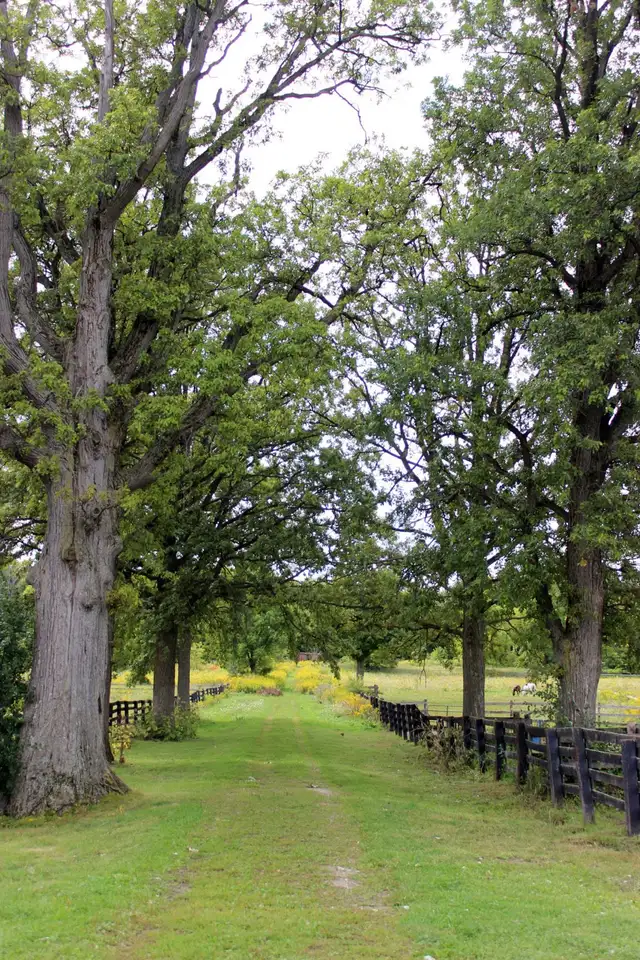 Horse Board Available!