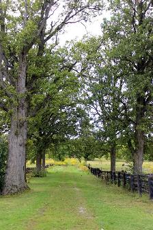 Horse Board Available!