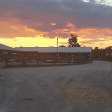 Horse Board Available! - Photo 4