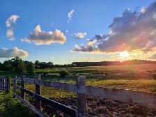 Horse Board Available! - Photo 5