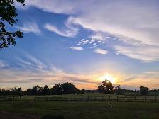 Horse Board Available! - Photo 6