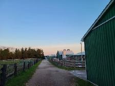 Horse Board Available! - Photo 7