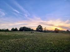 Horse Board Available! - Photo 8