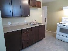 large one bedroom basement suite East Hill - Photo 2