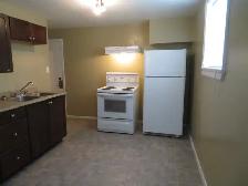 large one bedroom basement suite East Hill - Photo 3