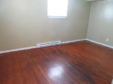 large one bedroom basement suite East Hill - Photo 4