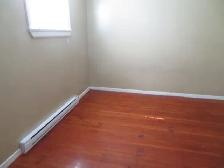 large one bedroom basement suite East Hill - Photo 5