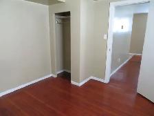 large one bedroom basement suite East Hill - Photo 6