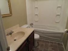 large one bedroom basement suite East Hill - Photo 7