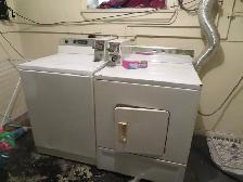 large one bedroom basement suite East Hill - Photo 8