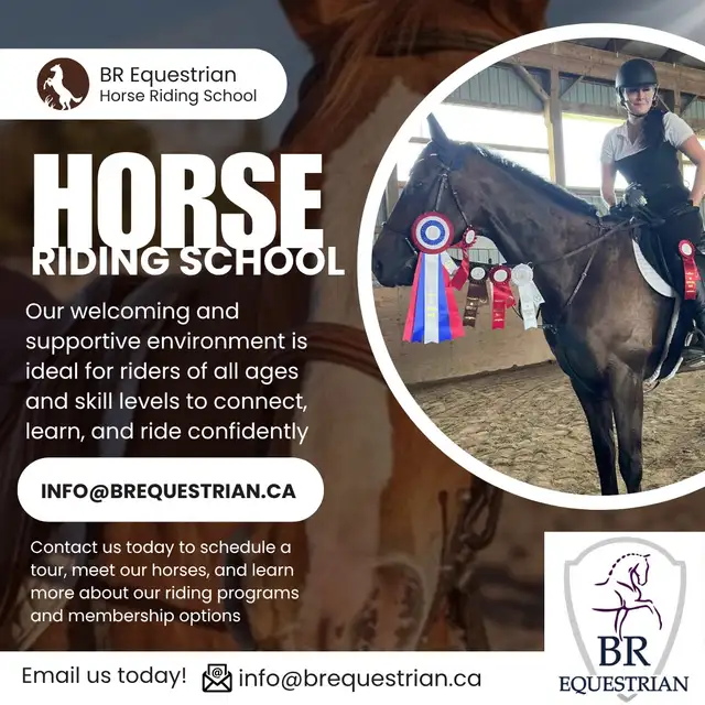 Horseback Riding Lessons!