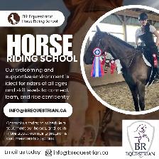 Horseback Riding Lessons!