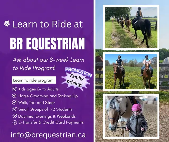 Learn to ride horses!