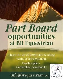 Part Board Opportunities! - Photo 2