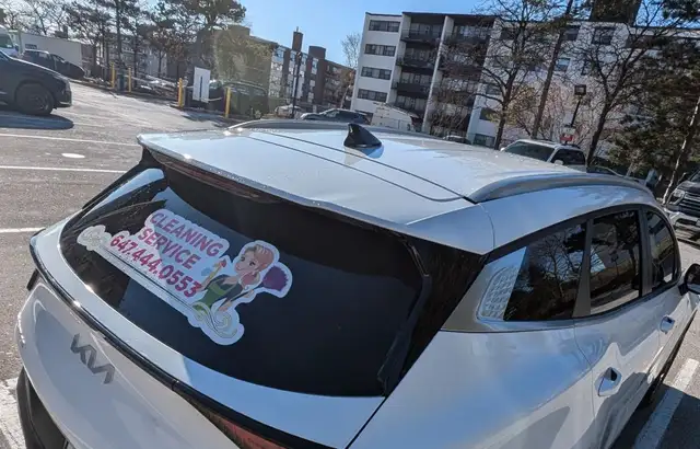 Polish Cleaning Lady in GTA 647-444-0553