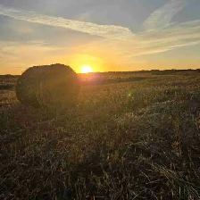 Hay bales for sale