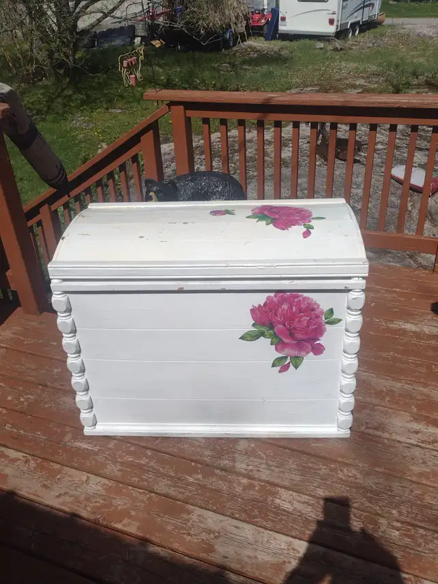 Painted storage trunk - Photo 6