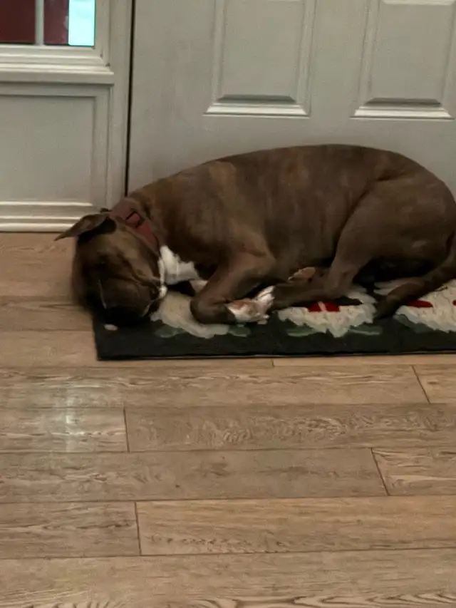 Adorable Fixed Girl - Photo 3