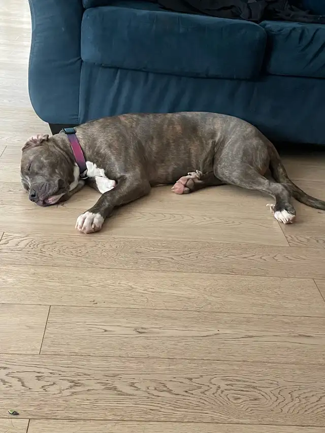 Adorable Fixed Girl - Photo 4