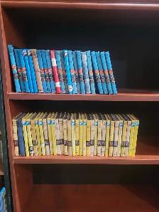 Hardy Boys and Nancy Drew