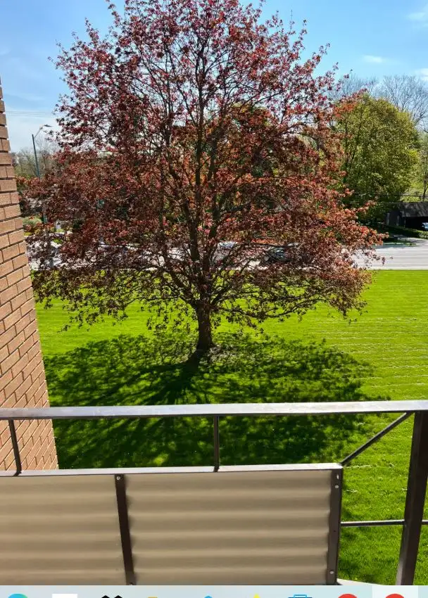 Fonthill 2 Bedroom Available April 1st 2026 - Photo 9