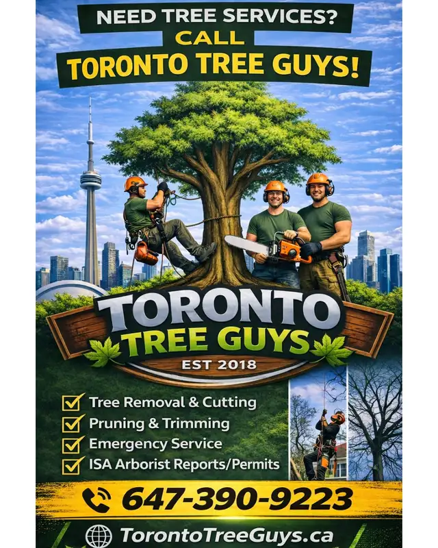 TORONTO TREE GUYS - TREE REMOVAL - PRUNING - LICENSED & INSURED
