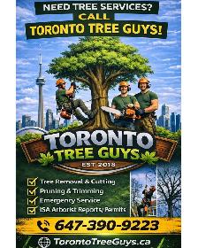 TORONTO TREE GUYS - TREE REMOVAL - PRUNING - LICENSED & INSURED