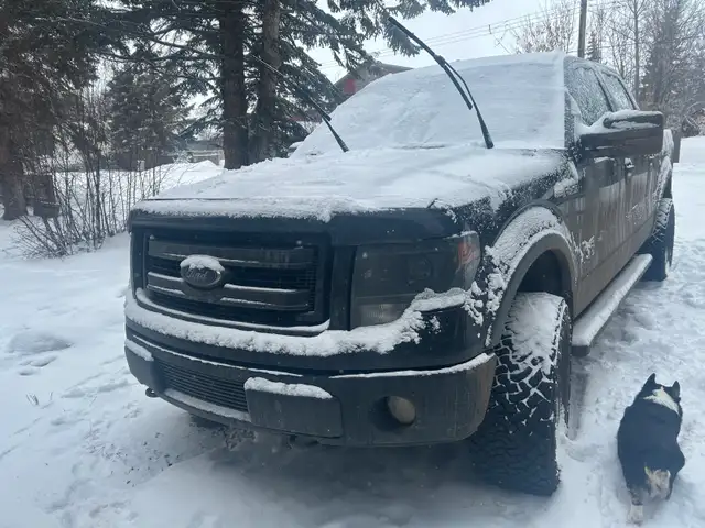2013 f150 - Photo 2