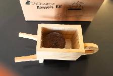 Brand New Craft Wheelbarrow - Photo 3