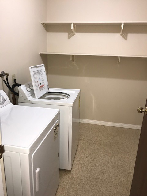 Cedar Heights - In-Suite Laundry, Secure, Quiet, Adult Bldg - Photo 4