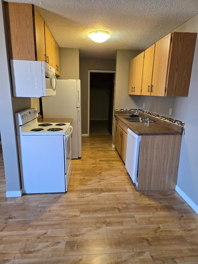 Cedar Heights - In-Suite Laundry, Secure, Quiet, Adult Bldg - Photo 6