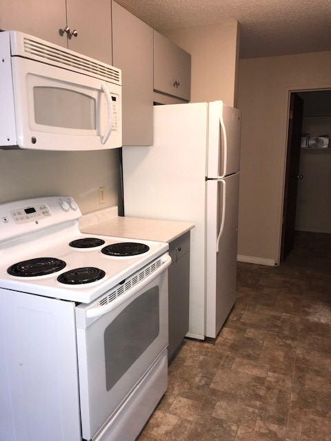 Cedar Heights - In-Suite Laundry, Secure, Quiet, Adult Bldg - Photo 8