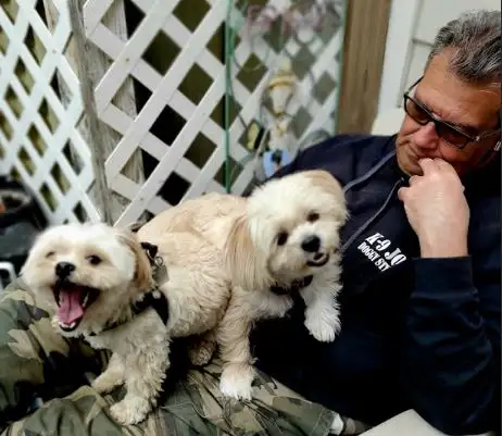 Dog Sitter - Photo 4