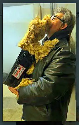 Dog Sitter - Photo 10