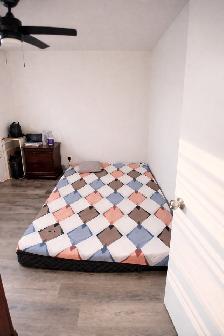 Room for Rent in Mississauga – Available Immediately