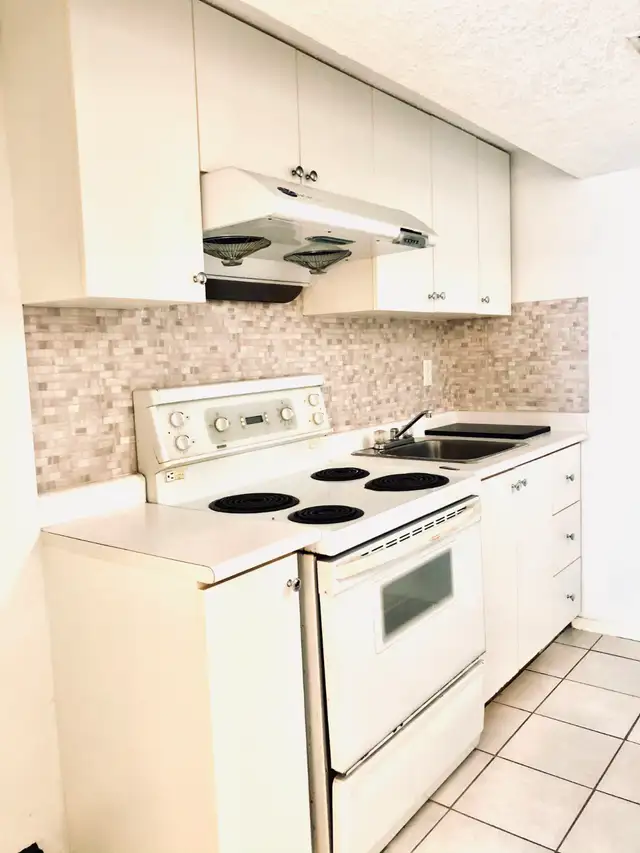 1 BEDROOM BASEMENT APARTMENT FOR RENT - Photo 5