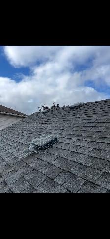 Brothers Wildlife Removal- Raccoons, Squirrels, Skunks - Photo 7