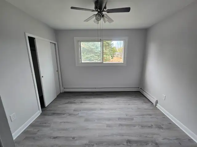 Spacious Renovated 2 bedroom Apartment - Haist Street Fonthill - Photo 4