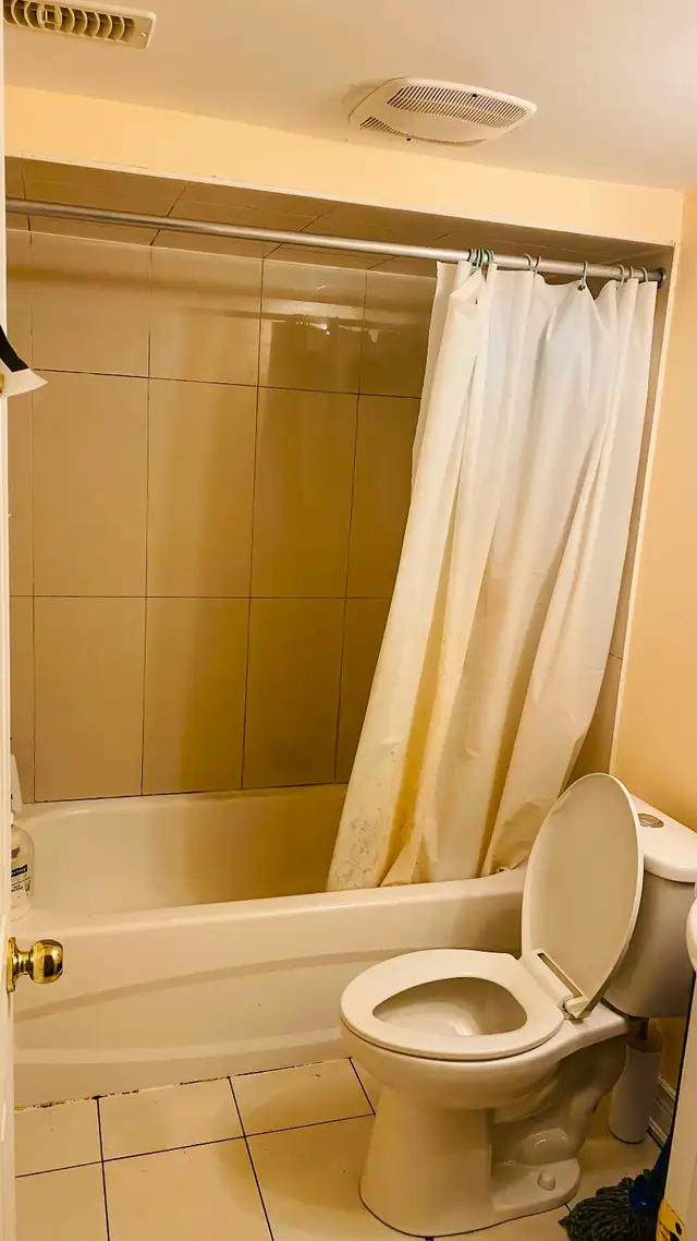 Rooms/ house for rent in Scarborough at Kennedy & lawrance - Photo 3