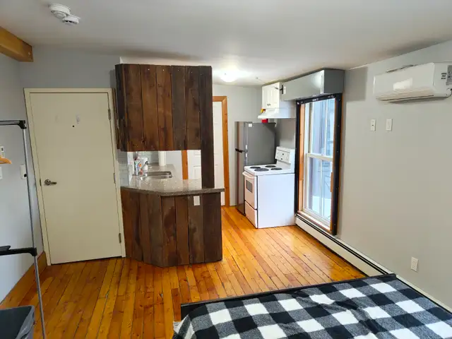 ALL INCLUSIVE RENTAL/FURNISHED Studio - Queen's & Downtown - Photo 4