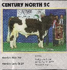 Maine-Anjou Semen - Photo 3