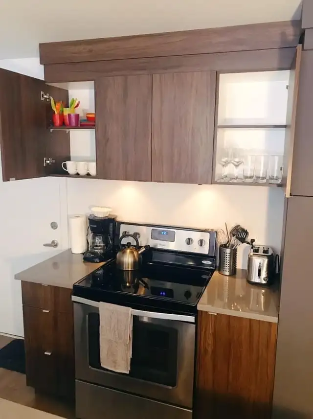 Superbe grand 3 1/2 à louer en plein coeur du Plateau - Photo 4