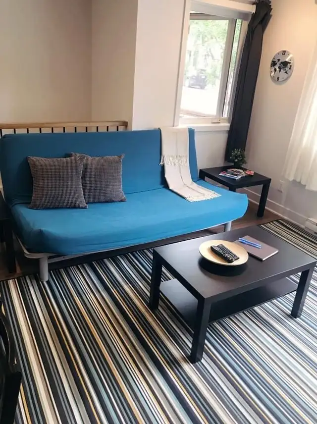 Superbe grand 3 1/2 à louer en plein coeur du Plateau - Photo 11