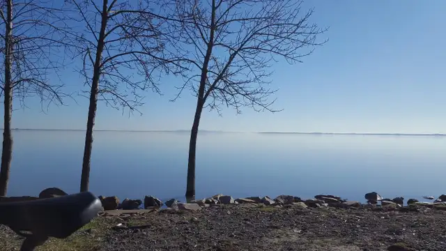 Service d’entretien ménager