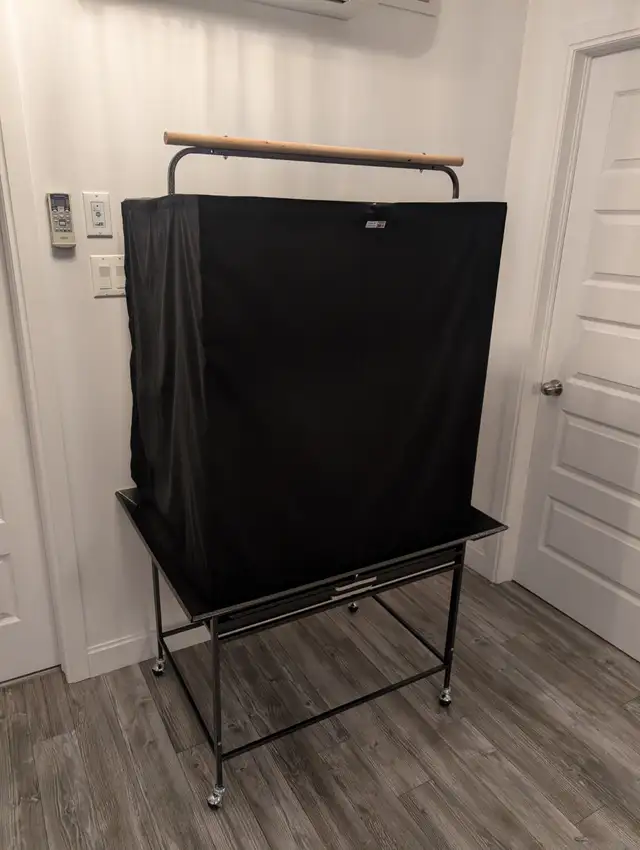 Perroquet Jardine Mâle 5 Mois - Photo 5