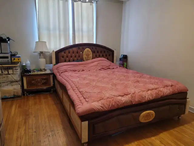 3 bedrooms apart in Main floor of a Bungalow- North York - Photo 5